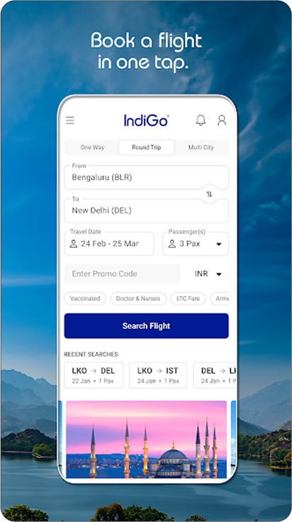 Indigo Image 1