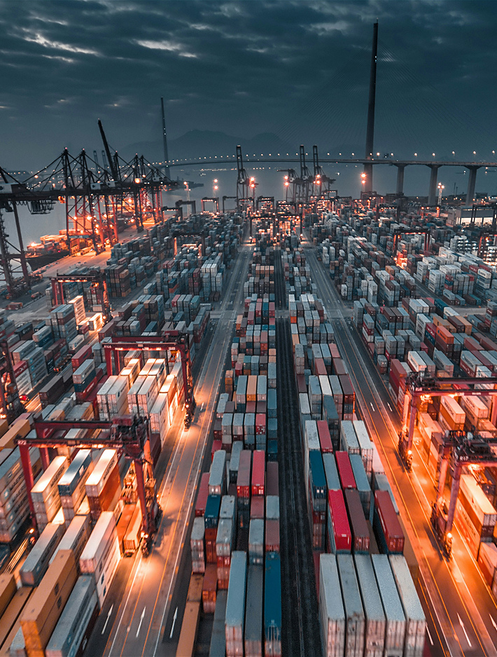 Logistics team coordinating transportation, warehouse, and fleet operations