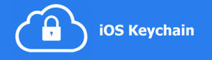 Keychain Handling in iOS