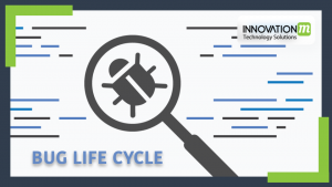Bug Life Cycle