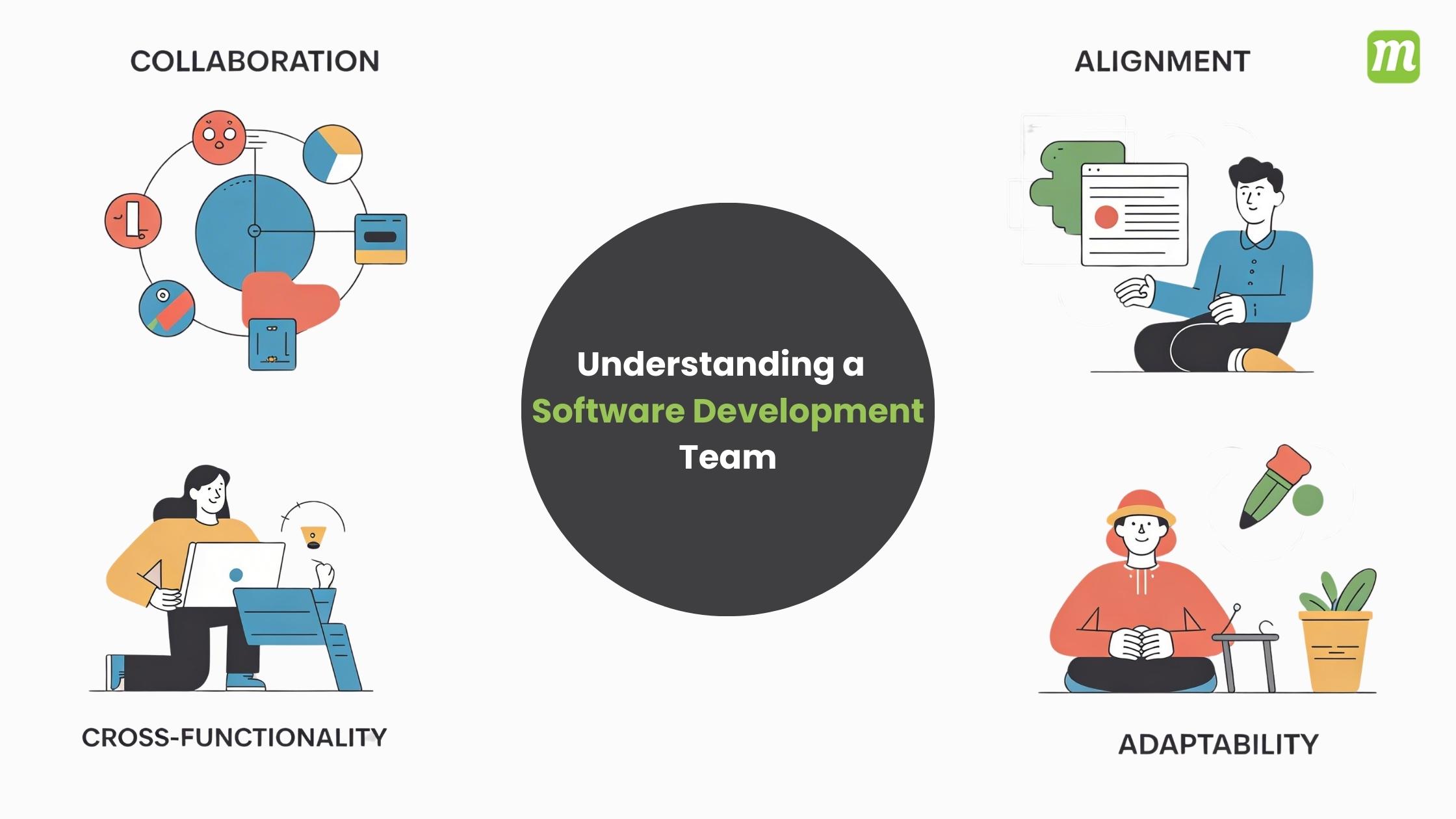 Understanding a Software Development Team